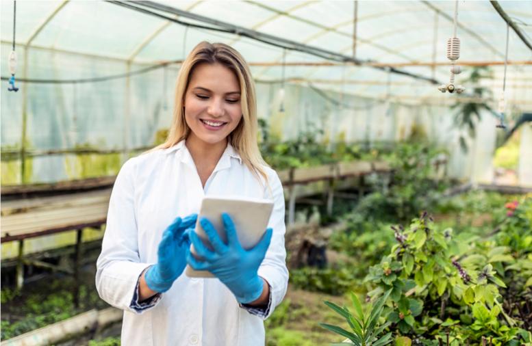 B.Sc Agriculture