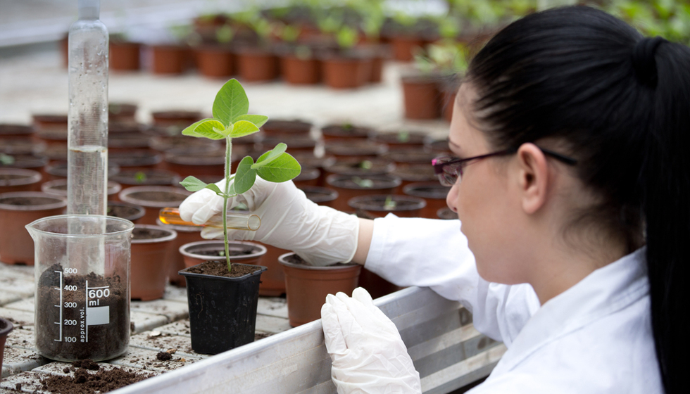 Agriculture Admission Guide: B.Sc Agriculture and B.Tech Agriculture